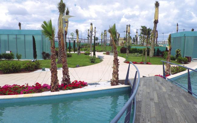 Roof garden with palm trees and a curved wooden bridge leading over a water basin